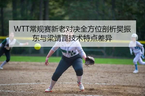 WTT常规赛新老对决全方位剖析樊振东与梁靖崑技术特点差异